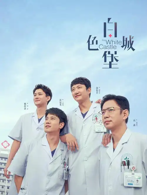 雾港迷局 热播电视剧全集在线观看